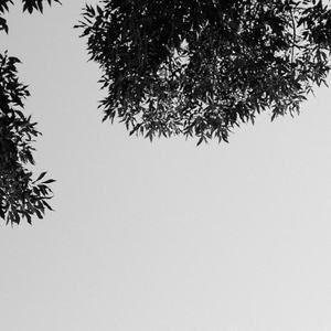 偷拍大保健内部视频
