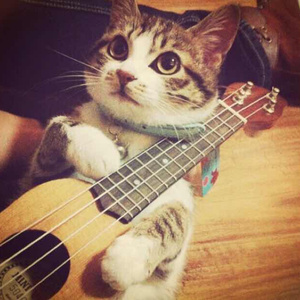 偷拍大保健内部视频
